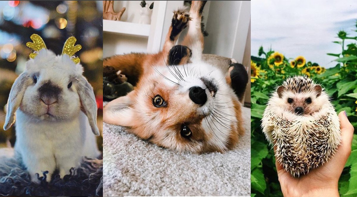 Revolusi Teknologi Kuliner: Inovasi Mengubah Cara Kita Memasak